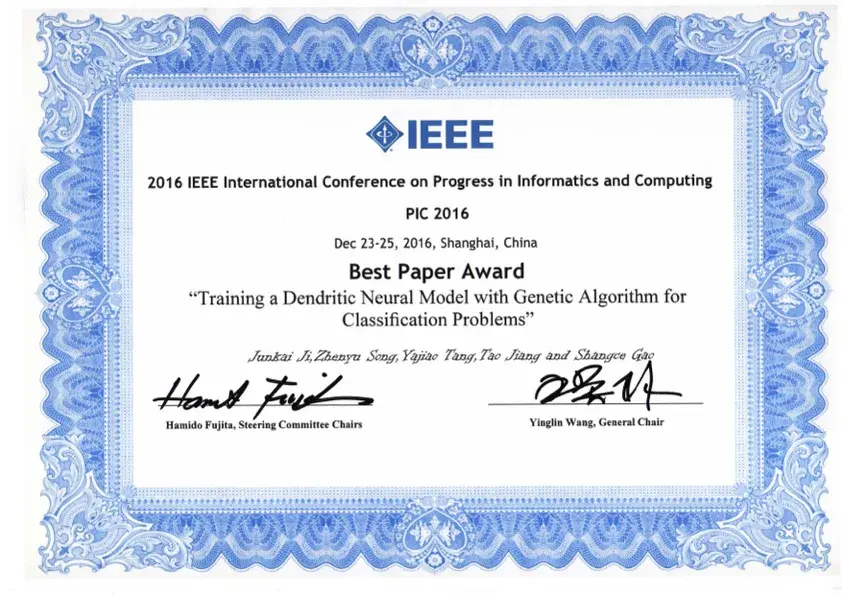 IEEE Best Paper Award