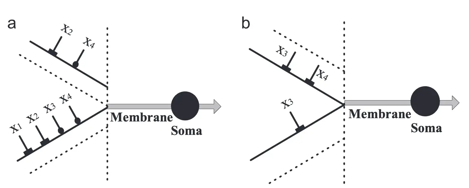 An Approximate Logic Neuron Model with a Dendritic Structure