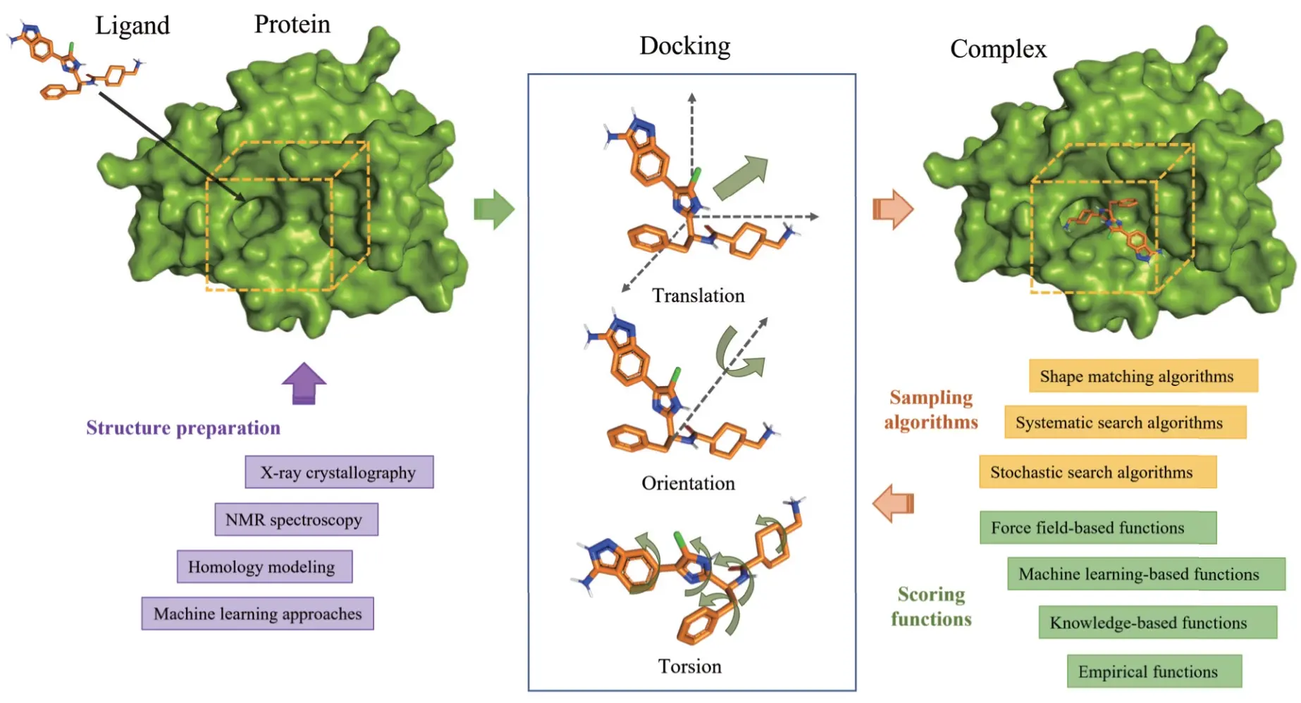 AutoDock Koto: A Gradient Boosting Differential Evolution for Molecular Docking