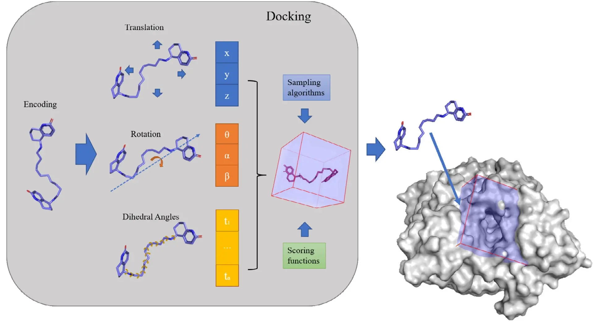 A Novel Molecular Docking Program Based on a Multi-Swarm Competitive Algorithm