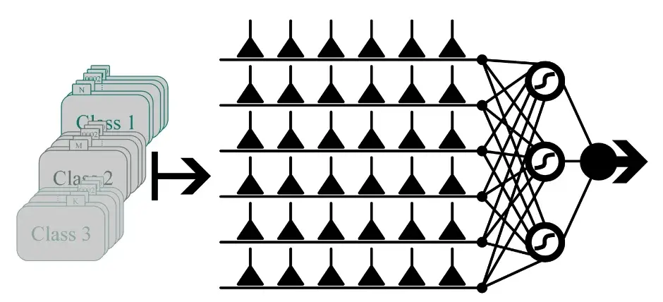 Dendritic Neural Network: A Novel Extension of Dendritic Neuron Model