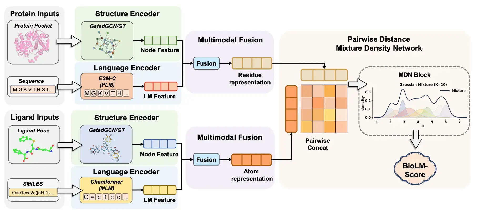 BioLM-Score: Language-Prior Conditioned Probabilistic Geometric Potentials for Protein-Ligand Scoring