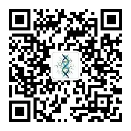WeChat Official Account QR Code